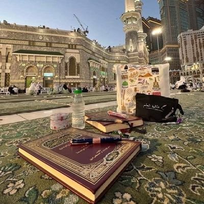 kipianino's profile picture. 🦀