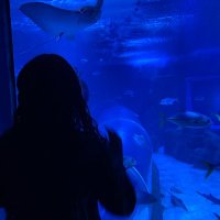 tonha (@tonhamendes_) 's Twitter Profile