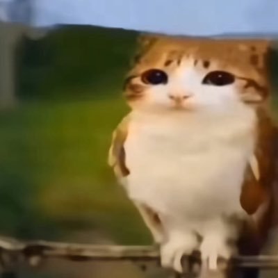 DogesquadGamin2's profile picture. 