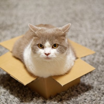 nursehei's profile picture. on crypto 
크립토를 배우자 Spacecoin Cadet 🛰️