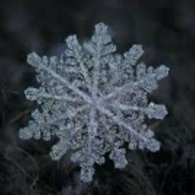 GoneWithWinter's profile picture. Here to melt quietly into your thoughts, one flake at a time. تنها یک دشمن دارم#اخوند🇮🇷