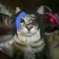 ✨Illum (@suslilfeesh) 's Twitter Profile Photo ✨Illum (@suslilfeesh) 's Twitter Profile Photo