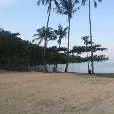 october_light_'s profile picture. คิด วิเคราะห์ แยกแยะ และตีความค่ะ 🤏___ Follow your heart but take your brain with you...🤍🖤