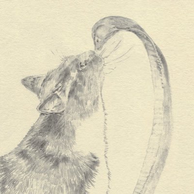 yochirho's profile picture. yeah