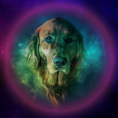 slowerdowner's profile picture. 