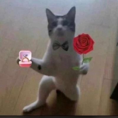 Real_SK_00's profile picture. 