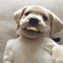 DilfBig43879's profile picture. 