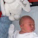 Taube Gracie - @GracieTaub51543 - Twitter