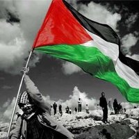 Amad Tauro (@tauroamad) 's Twitter Profile