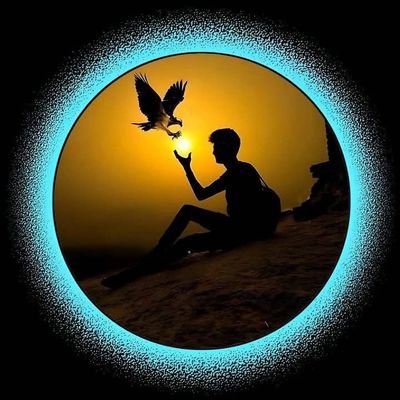 MedLast399046's profile picture. 