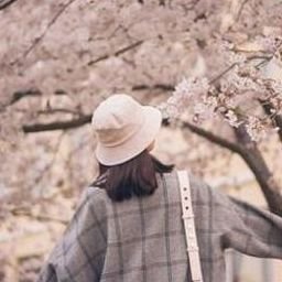 Guoboo816's profile picture. 