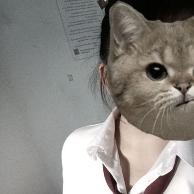 ZVictoriax50957's profile picture. 