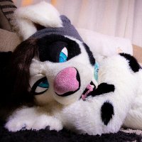 Dally Doggo (@dallydoggo) 's Twitter Profile Photo Dally Doggo (@dallydoggo) 's Twitter Profile Photo