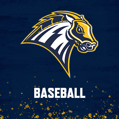 New Haven Baseball Profile