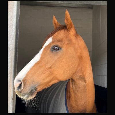 Charlie Proctor Profile
