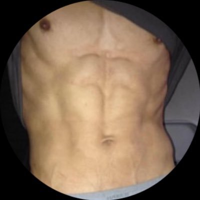 Armenian Abs: The Sequel Profile