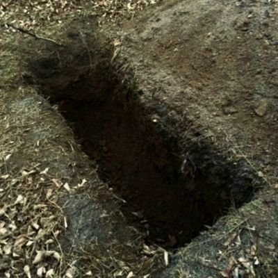 eliasismad's profile picture. به روایت خودم اعتماد چندانی ندارم