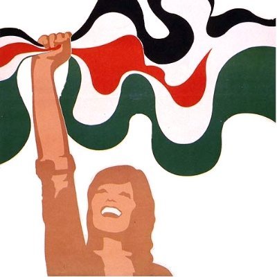 PhD student in International Affairs • Question of Palestine I Politics I Policy I International Conflict • Proud Palestinian 🇵🇸 • All views are my own