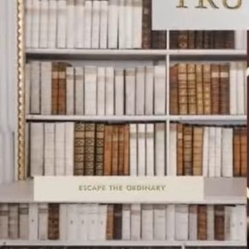 avi2512979941's profile picture. 