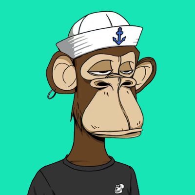 My Automated Bot Trades Forex & Gold (Longs & Shorts) 🚀 Insane Returns 🤑 BAYC & PPenguin verified 👑 Sober ✝️ DOVU 🌎 Pulsechain 💎