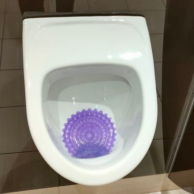 rr0344944462077's profile picture. 変人、教授、自由人
最近設置されました
障害者なので支援を受けております。
この国は豊かだ