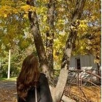 Malia (@nixou739) 's Twitter Profile