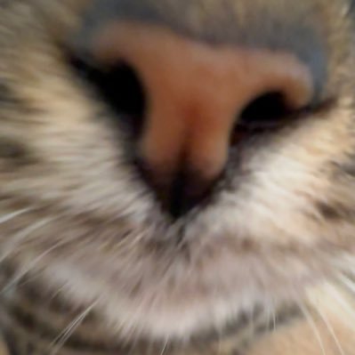 Feilsafe's profile picture. 