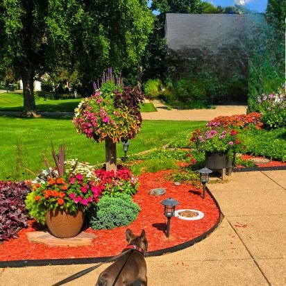 JodySmithBiz's profile picture. Flower Lover, woman of faith, wife,  Mother, Grandmother. Loving life!