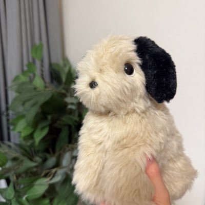 kkduun's profile picture. ぼくは天才チンパンジーのゴリラくん、サル界のオランウータンと呼ばれているワン！