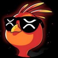 Phoenix - $PHNIX (@phnix_xrp07) 's Twitter Profile