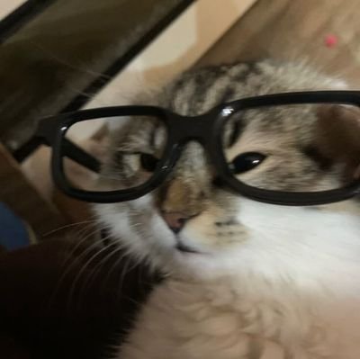 trotrobelu's profile picture. essa conta não existe