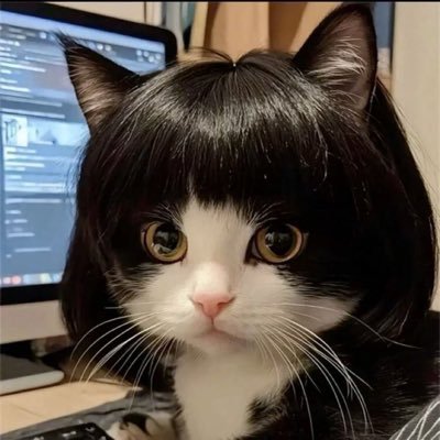 Yu5868Yu's profile picture. 