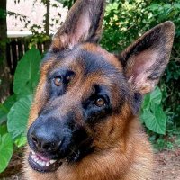 Very Naughty Boy (@woodenspoon4me) 's Twitter Profile