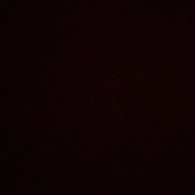 paumorenobm's profile picture. 