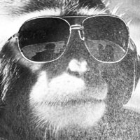 Brian Jackson (@brianattacks90) 's Twitter Profile