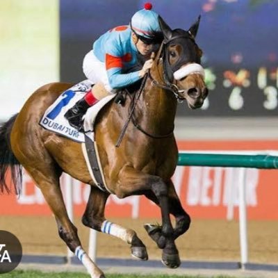 pinpondash1005's profile picture. データ収集用アカウント 💻フォロバいりません