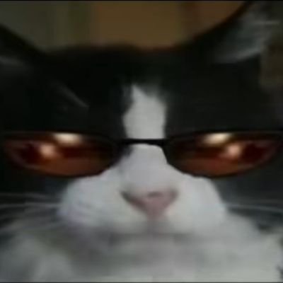 ECampanillazos's profile picture. i regret nothing