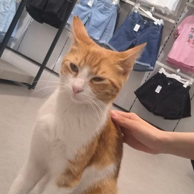 anonimbirhsp__'s profile picture. 