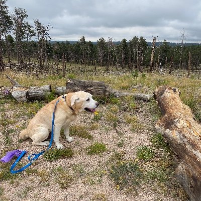 SJozefczyk74756's profile picture. 