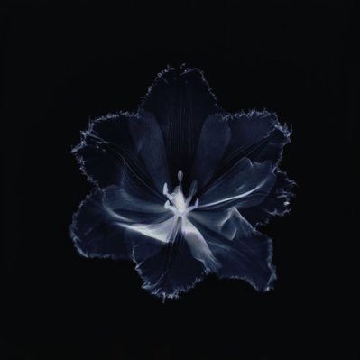 3381truther's profile picture. McLarens #1 hater