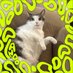 EL (@bergalicious_95) Twitter profile photo EL (@bergalicious_95) Twitter profile photo