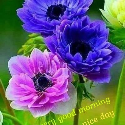 संस्थापक : आदर्श लोक ऊर्जा (राजनैतिक) मंच
(self serving,Labour serving,Ideal self dependent.) स्वयं सेवी , श्रम सेवी , आदर्श आत्म निर्भर बनो ।