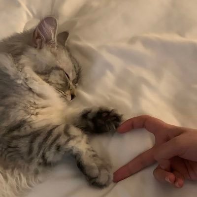 roish_11's profile picture. اللهم اني اسألك الهدى والسلام .