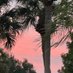 Central Florida Sky (@fldailyskyguy) Twitter profile photo Central Florida Sky (@fldailyskyguy) Twitter profile photo