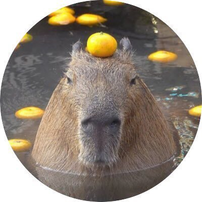 そう信じる者しか救わないせこい神様拝むよりも推しとずっといっしょにいる方が気持ちよくなれるから。基本 #田中圭 さんを中心に、 #稲葉浩志 さん #Bʼz さん #オダギリジョー さん、アニメとか声優さんとか、そして日常なども💦 #圭たいむ ゆる特定 楽天アフェやROOMとかあまぞんアソシエイトも✌