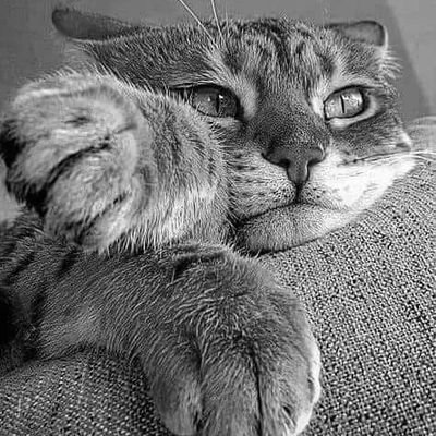 ClintRose17's profile picture. 