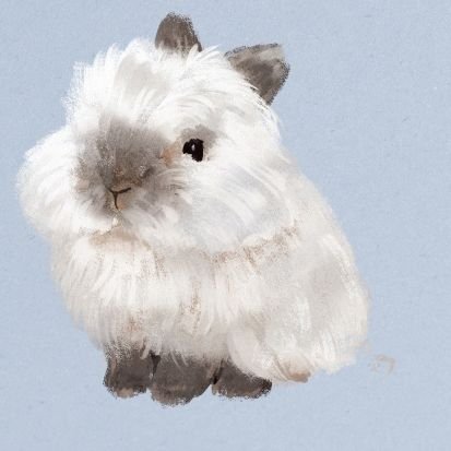 ころも・Y・の飼い主さんのプロフィール画像