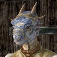 20, super amateur art account, elder scrolls hyper fixation, made this account to post progression on art, I need a (foot)job