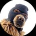 Interplanetary Bag (@coproducer111) Twitter profile photo Interplanetary Bag (@coproducer111) Twitter profile photo