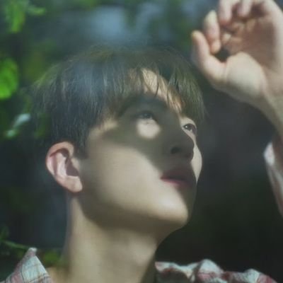 ccarsiopeiaa's profile picture. 